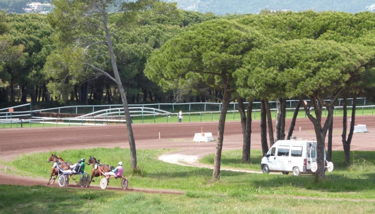 Studio Residence Bona, Vue Hippodrome Et Mer, Clim Hyères Extérieur photo