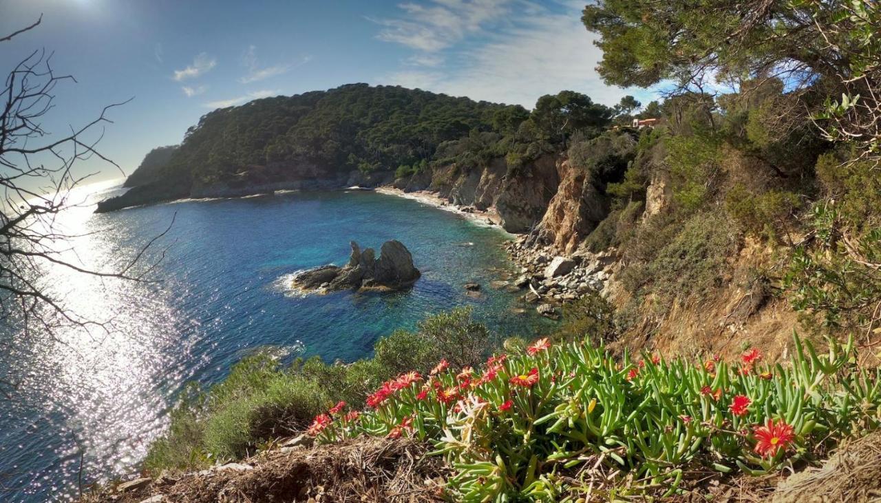 Studio Residence Bona, Vue Hippodrome Et Mer, Clim Hyères Extérieur photo